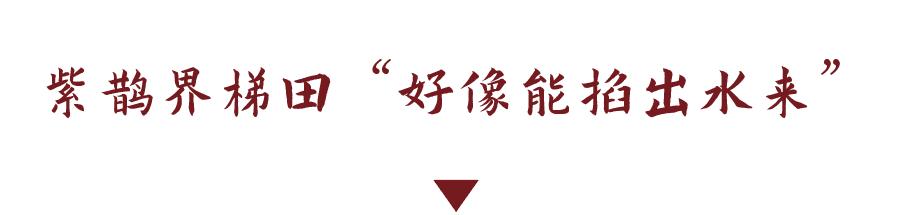 DƬ